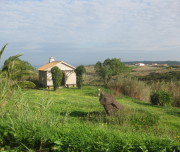 The house and the field