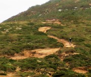 Down the Summit