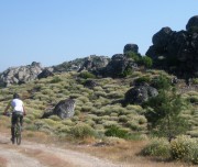 Riding with Stones