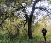 run in pure nature!