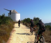 Climb the hill
